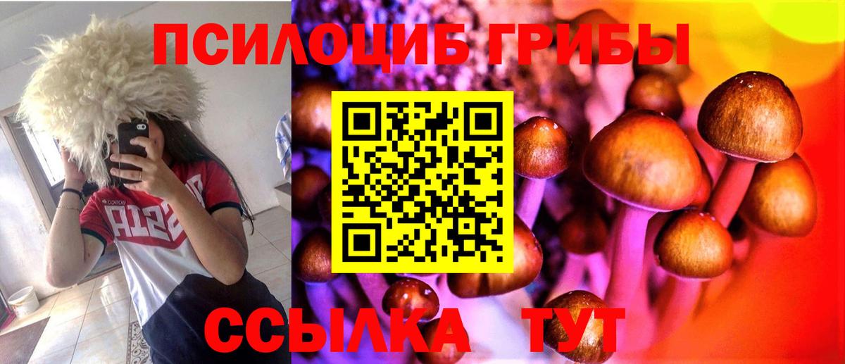 Дзержинский  Галлюциногенные грибы Cubensis  Вход с VPN 